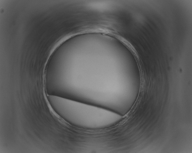 X0000081581439200701150949
