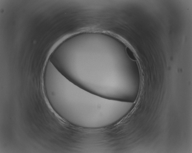 X0000081581440200701150949