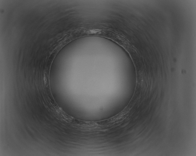X0000081581442200701150949