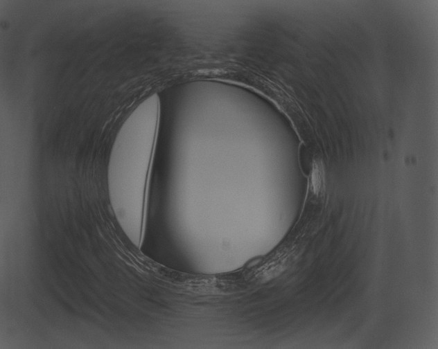 X0000081581444200701150949