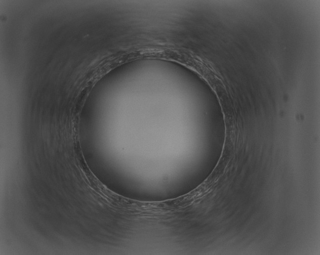 X0000081581445200701150948