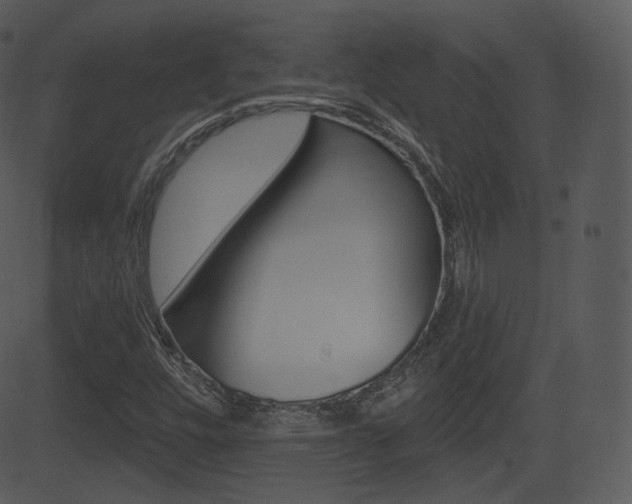 X0000081581448200701150948