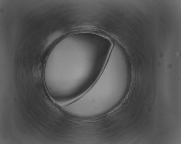 X0000081581450200701150948