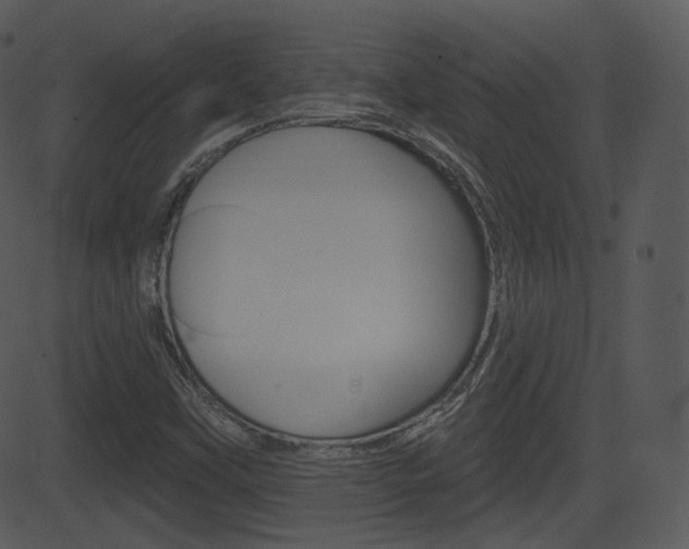 X0000081581451200701150948