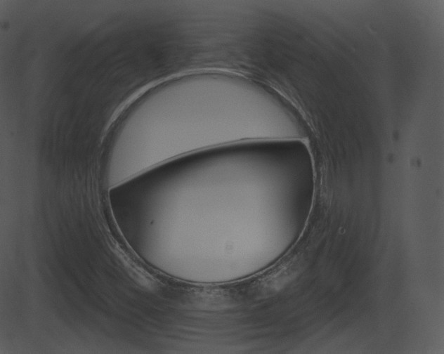 X0000081581452200701150948