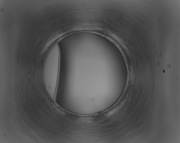 X0000081581453200701150948