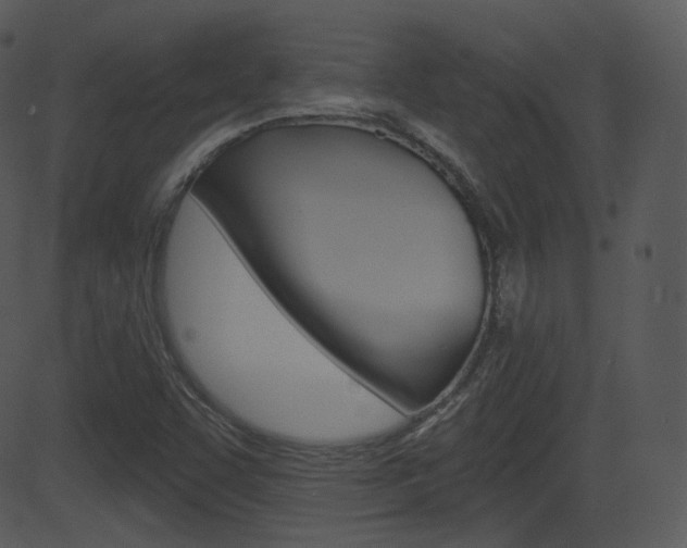 X0000081581455200701150948