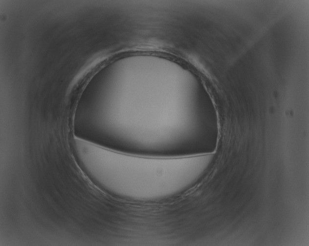 X0000081581456200701150948