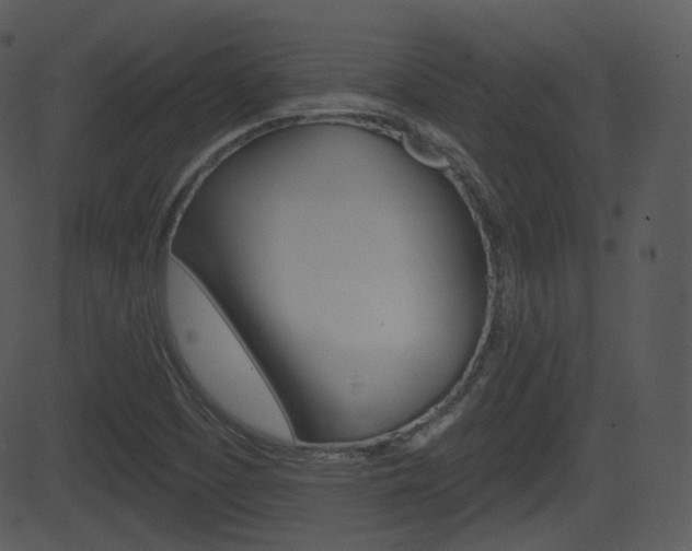 X0000081581457200701150948