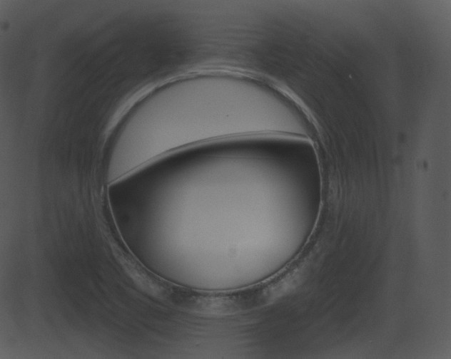 X0000081581461200701150948