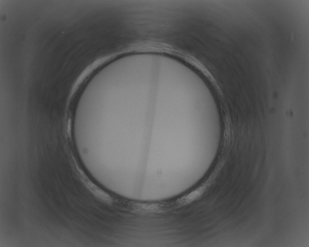 X0000081581462200701150948