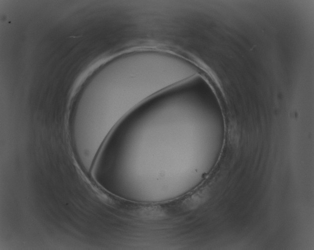 X0000081581464200701150948