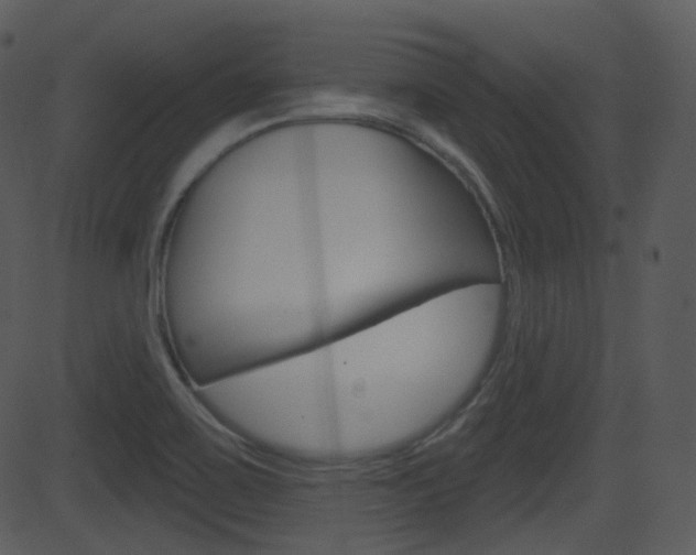 X0000081581467200701150948
