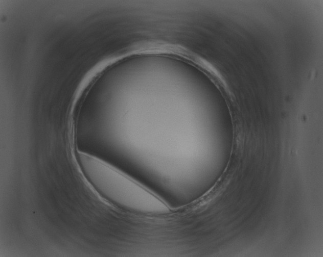 X0000081581472200701150948