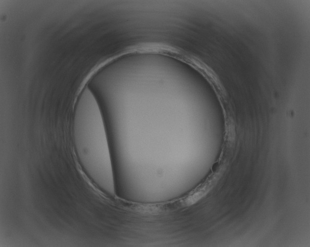 X0000081581473200701150948