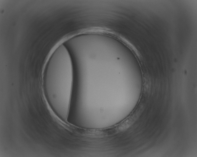 X0000081581475200701150948