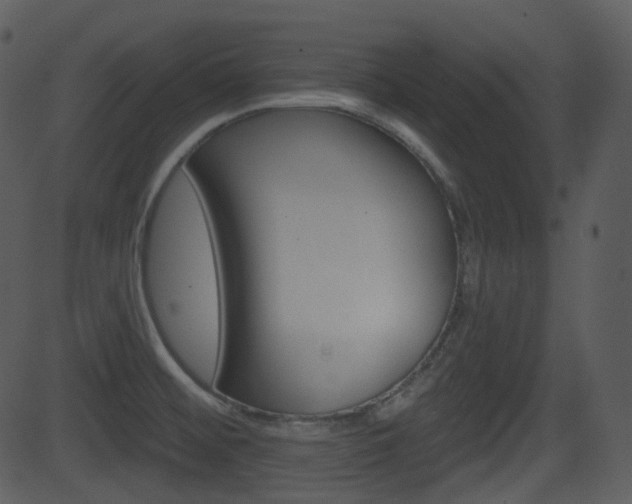 X0000081581476200701150948