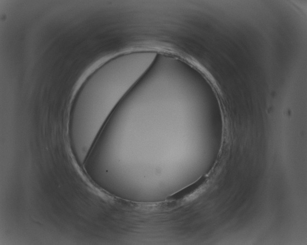 X0000081581477200701150948