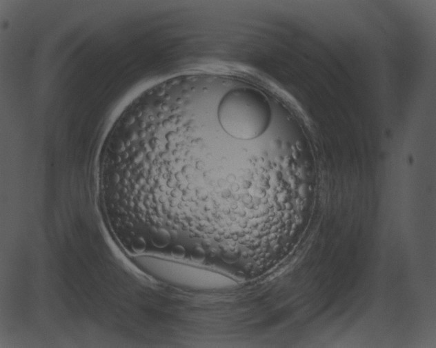 X0000081581479200701150948