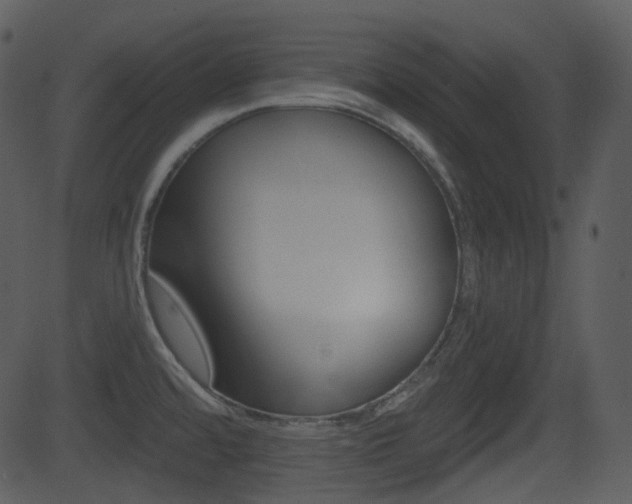 X0000081581480200701150948