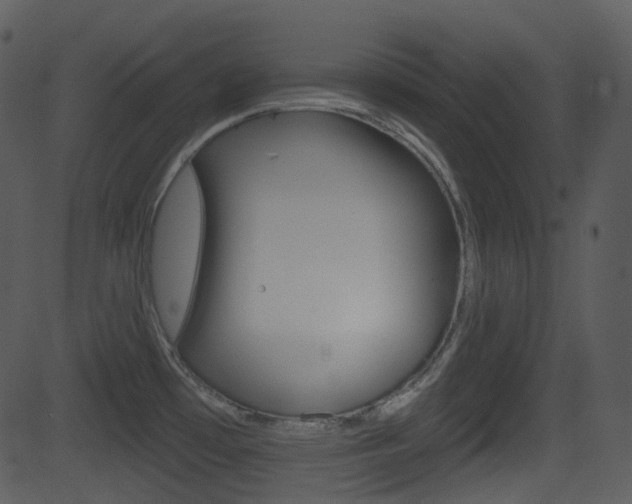 X0000081581481200701150948