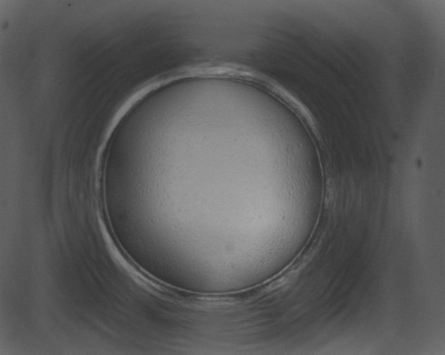 X0000081581483200701150948