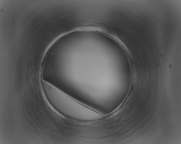 X0000081581484200701150948