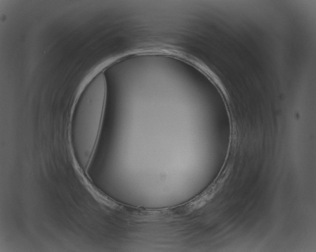 X0000081581485200701150948