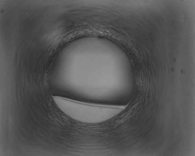 X0000081581490200701150947