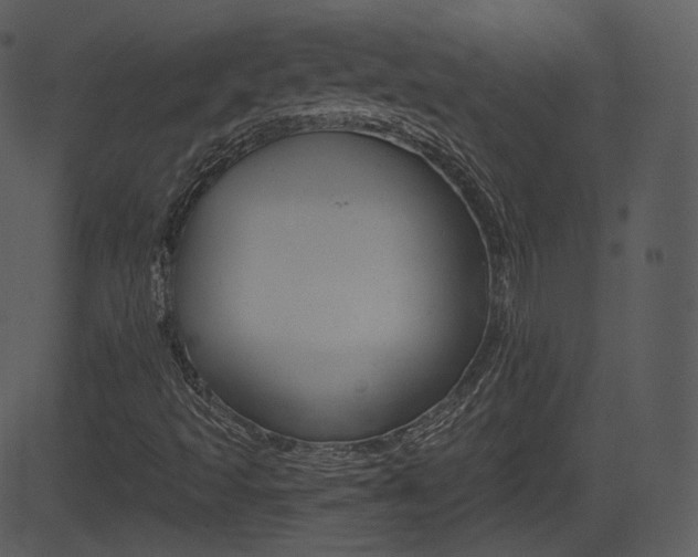 X0000081581493200701150947