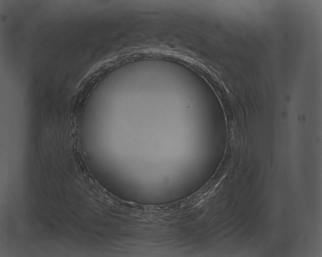 X0000081581494200701150947