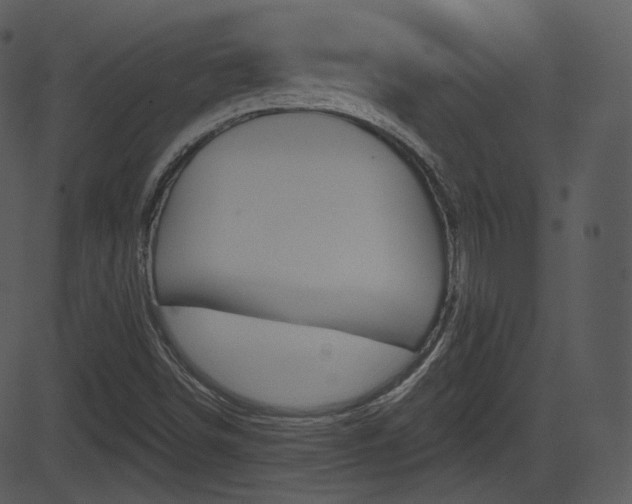 X0000081581498200701150947