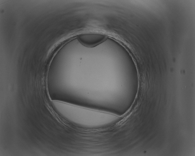 X0000081581499200701150947