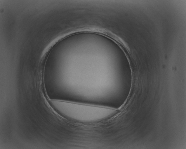 X0000081581504200701150947
