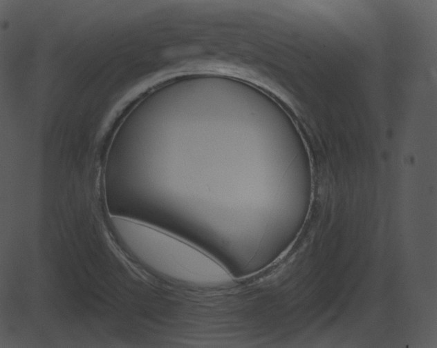 X0000081581507200701150947