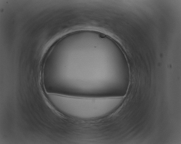 X0000081581511200701150947