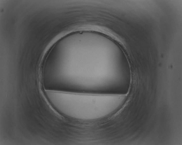 X0000081581517200701150947