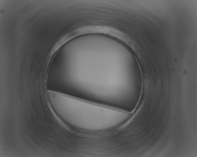 X0000081581521200701150948