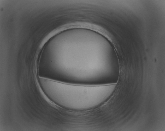 X0000081581523200701150948