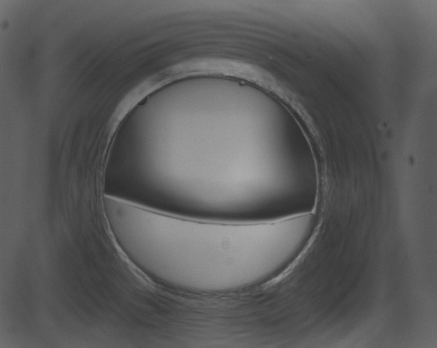 X0000081581529200701150948