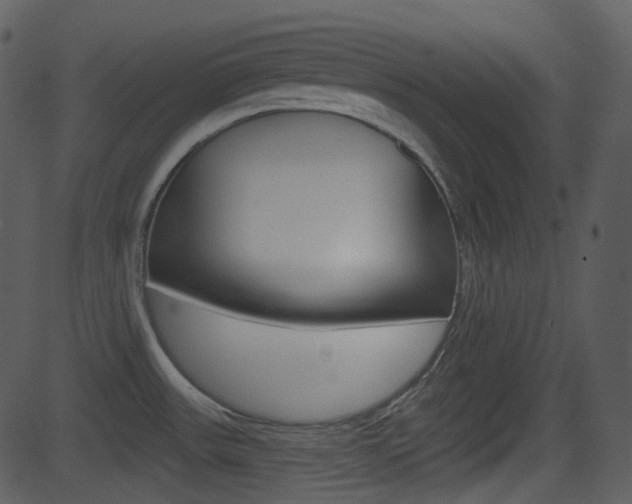 X0000081581531200701150948