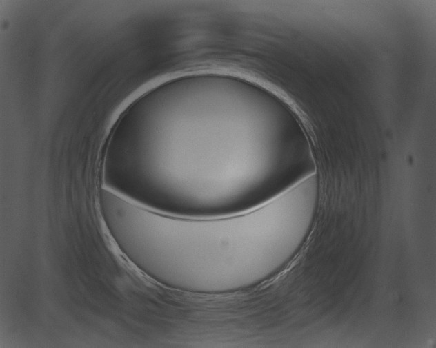 X0000081581534200701150948