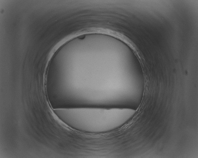 X0000081581535200701150948