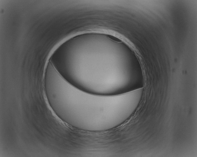 X0000081581536200701150948