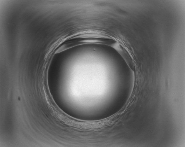 X0000081580001200701151255