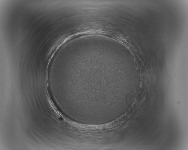 X0000081580002200701151255