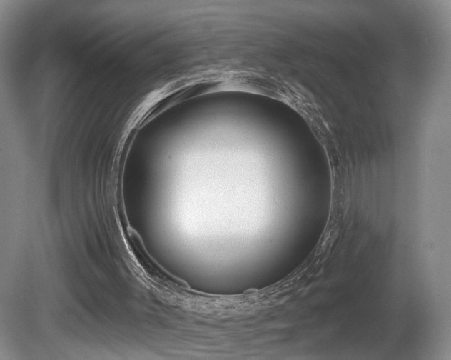 X0000081580003200701151255