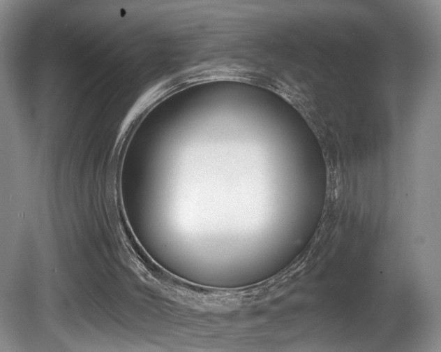 X0000081580004200701151255