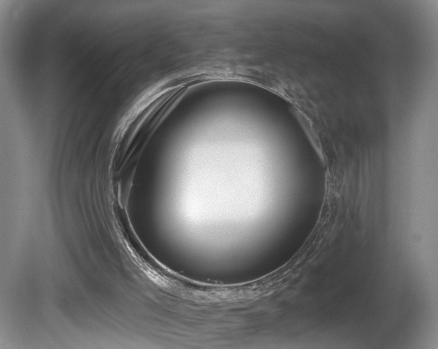 X0000081580005200701151255