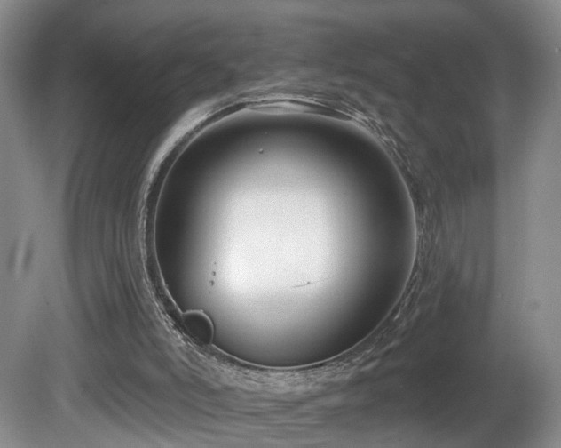 X0000081580006200701151255